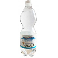 CONF.24 BOTT. 1/2 LT     ACQUA NATURALE DUCALE