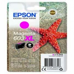 Cartuccia di inchiostro Epson Magenta serie 603XL Stella Marina