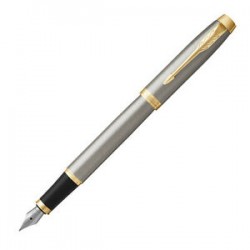 PENNA STILOGRAFICA       IM BRUSHED METAL GT