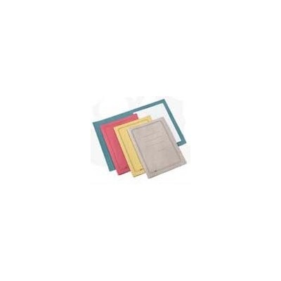 100 CARTELLINE SEMPLICI AZZURRO C/STAMPA 145GR