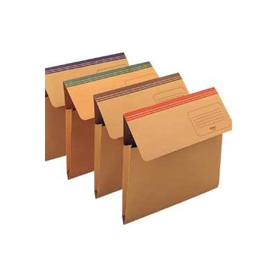 CARTELLINA A BUSTA DIXIE MEC BLU (299) REXEL