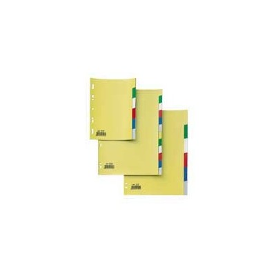 SEPARATORE 6 TASTI COLORATI 21X29,7 PPL RECORD SA46N SEI
