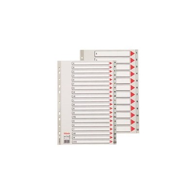 09227 DIVISORE A/Z C/FORI IN PPL 21X30 ELBA
