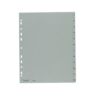 DIVISORE MENSILE   GEN-DIC 23X30,5 MAXI ELBA