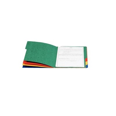 CARTELLA RAINBOW ESSELTE 11 DIVISORI