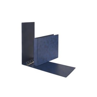 RACCOGLITORE SANREMO 2000 25 4D A BLU 42X30CM A3-ALBUM
