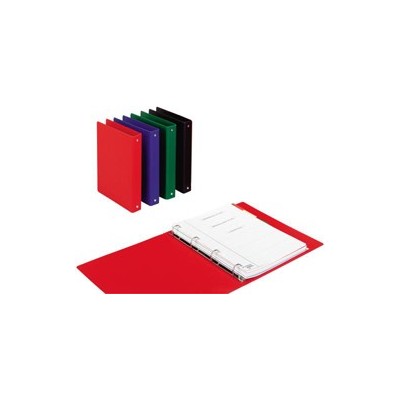 40359 RACC.ESSELTE DAILY 4771 DIAM.25 2 AN. ROSSO