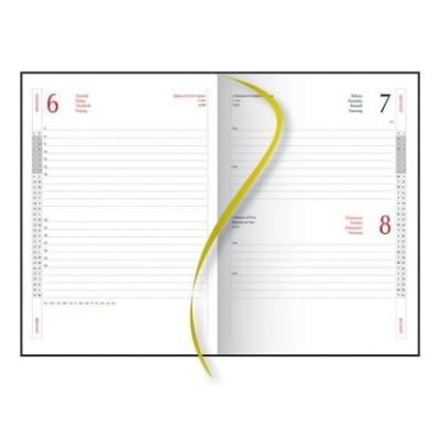 AGENDA GIORNALIERA 15X21  628 004 S/D DIVISi