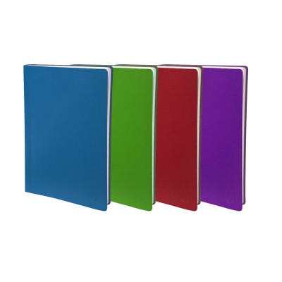 DIARIO UNIVERSITAIRE IT  TOSCANA COLORI