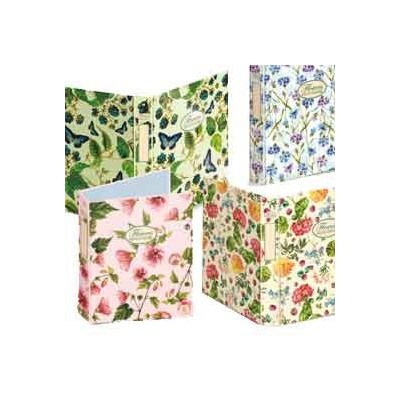 RACCOGLITORE PIGNA NATURE A4 24X32 4D DORSO 30