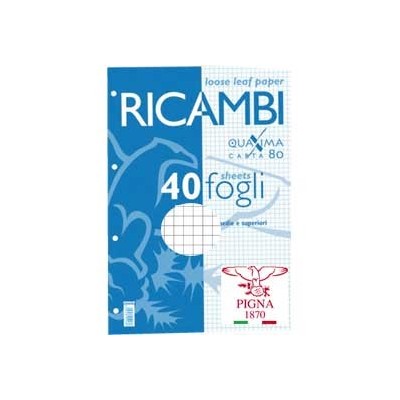 RICAMBI FORATI A5 4MM 80GR QUAXIMA 40FG 80GR PIGNA