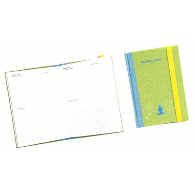 TACCUINO DEL WELLNESS    10,5X15,5CM PISTACCHIO