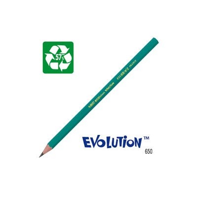SCATOLA 12 MATITE ECOlutions