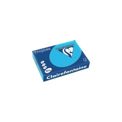 RISMA A3 G.80 500FG 1881  CELESTE TROPHEE