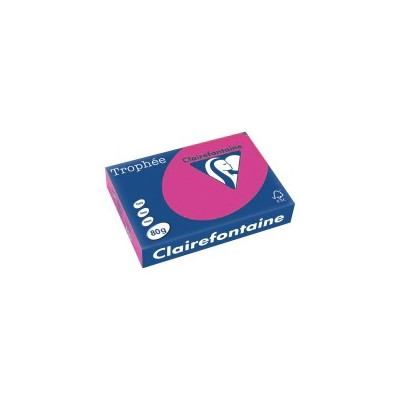 RISMA TROPHEE GR.210     250FG A4 2209 FUCSIA