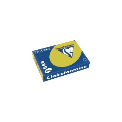 RISMA TROPHEE GR160 250FG A4 2636 GIALLO CANARINO