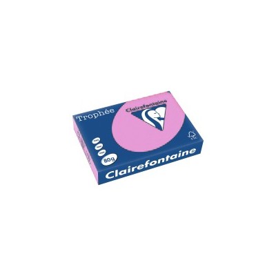 13113TROPHEE GR.160 250FG A4 2634 ROSA