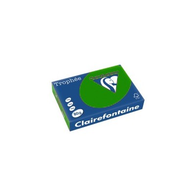 RISMA A3 GR.80 500FG     VERDE 1882 TROPHEE
