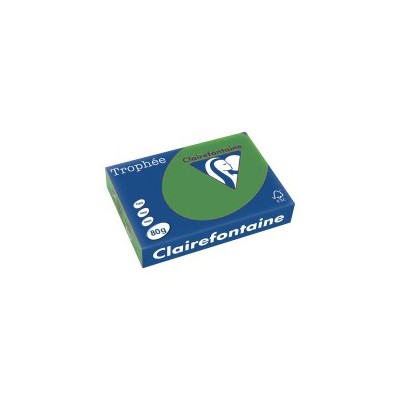 RISMA TROPHEE 80GR 500FG A4 1975 VERDE TENUE