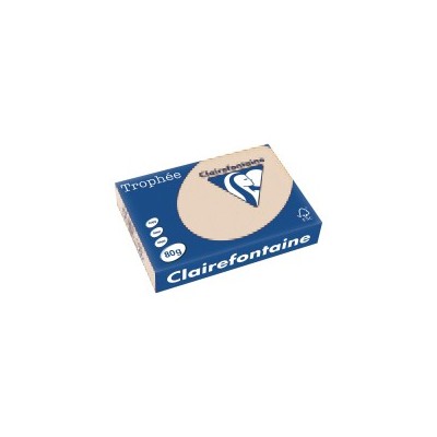 RISMA A3 GR.160 250FG    AVORIO 1108