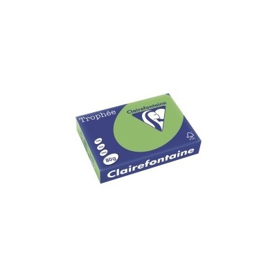 RISMA INTENSE VERDE MENTA 1875C A4 80GR 500FG