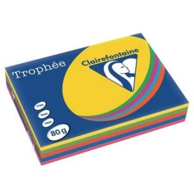 RISMA TROPHEE GR80 500FG A4 COLORI ASSORTITI FORTI