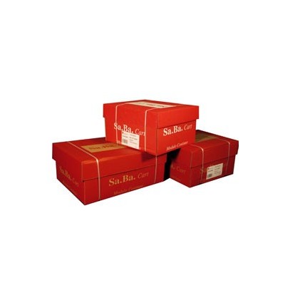 CARTA IN MODULO CONTINUO 24X12 60GR (2000FG) BIANCO Piste Fisse