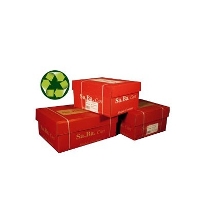 CARTA IN MODULO CONTINUO 24X11 60GR (2000FG) CARTA RICICLATA Piste Staccabili