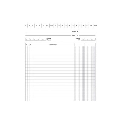 100 SCHEDE VERTICALE 21X15CM DARE/AVERE/SALDO E3336BL