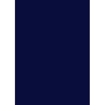 100 COPERTINE VIDEO A4 ROC30 300MIC BLU