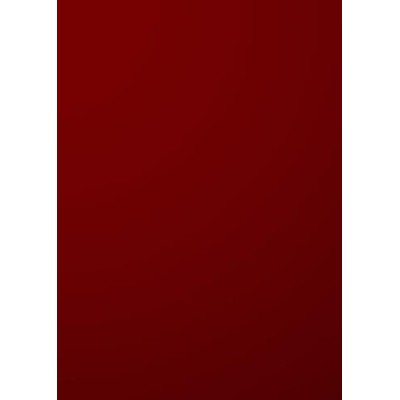 100 COPERTINE VIDEO A4 ROC30 300MIC ROSSO