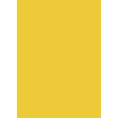 100 COPERTINE VIDEO A4 R20 180MIC GIALLO