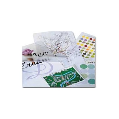 SCATOLA 100 POUCHES 125MIC 111X156MM