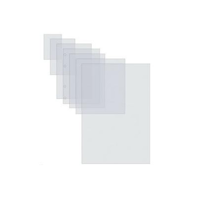 SCATOLA 100 POUCHES 125 MIC 216X303MM HIGH SPEED