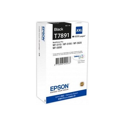 TANICA INCHIOSTRO A PIGMENTI NERO EPSON DURABRITE ULTRA SERIE T789 XXL
