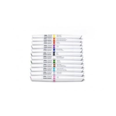 SET 12 PIGMENT MARKER