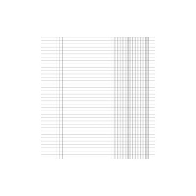 50014 LIBRO GIORNALE 100 PG.PRENUMERATE 24X32