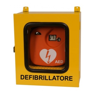 ARMADIO DEFIBRILALTORE CON TERMOREGOLATORE+ALLARME