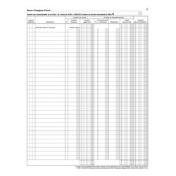 50041 REG. CESPITI AMMORTIZZABILI 96PG DU136826000