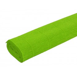 10RT CARTA CRESPA VERDE CHIARO 460 (50X250CM) GR.60 SADOCH