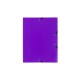 CARTELLA PPL CON ELASTICO 24x32CM VIOLA