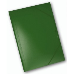 40563 CARPETTA 3L PLASTICA C/ELAST. 245X320 VERDE