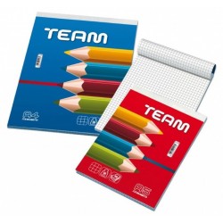 BLOCCHI NOTES A5 QUADRETTI 5mm TEAM BLASETTI