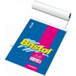 Bristol 1036
