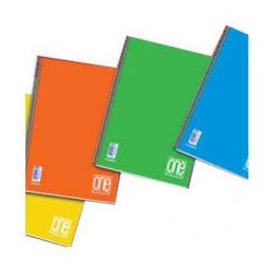 MAXI A SPIRALE A4 PPL C/FORI "ONE COLOR" 4 MM.