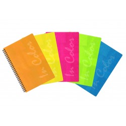 BLOCCO SPIRALATO 12,7X8,8 CM 5 COLORI ASSORTITI